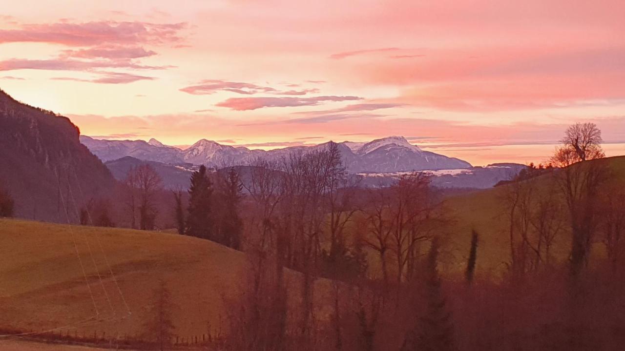 Gite & Spa Le Clos De Mon Pere Rochefort  ภายนอก รูปภาพ
